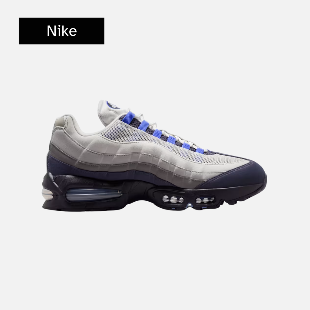Nike Air Max 95 'Photon Dust Sapphire Raisin'