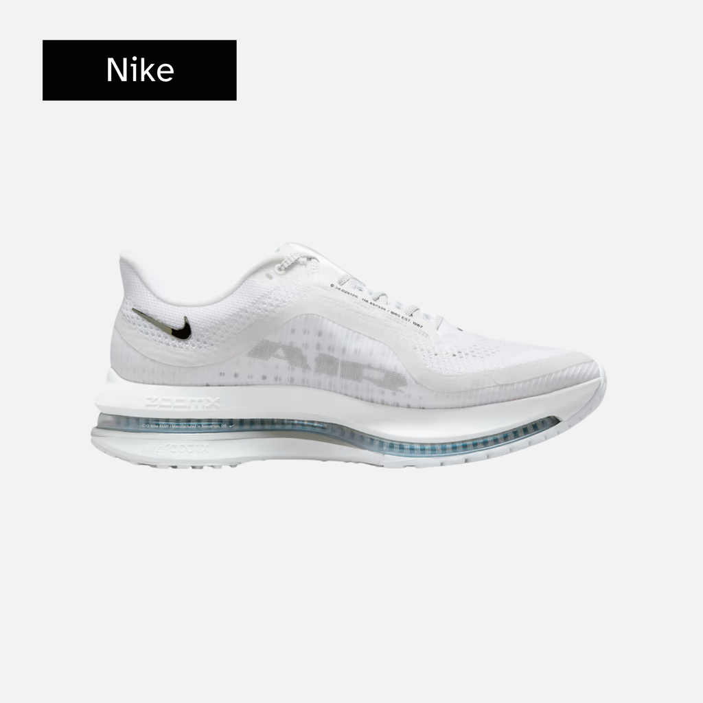 Nike Pegasus Premium 'White Metallic Silver'