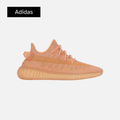 Adidas Yeezy Boost 350 V2 'Mono Clay'