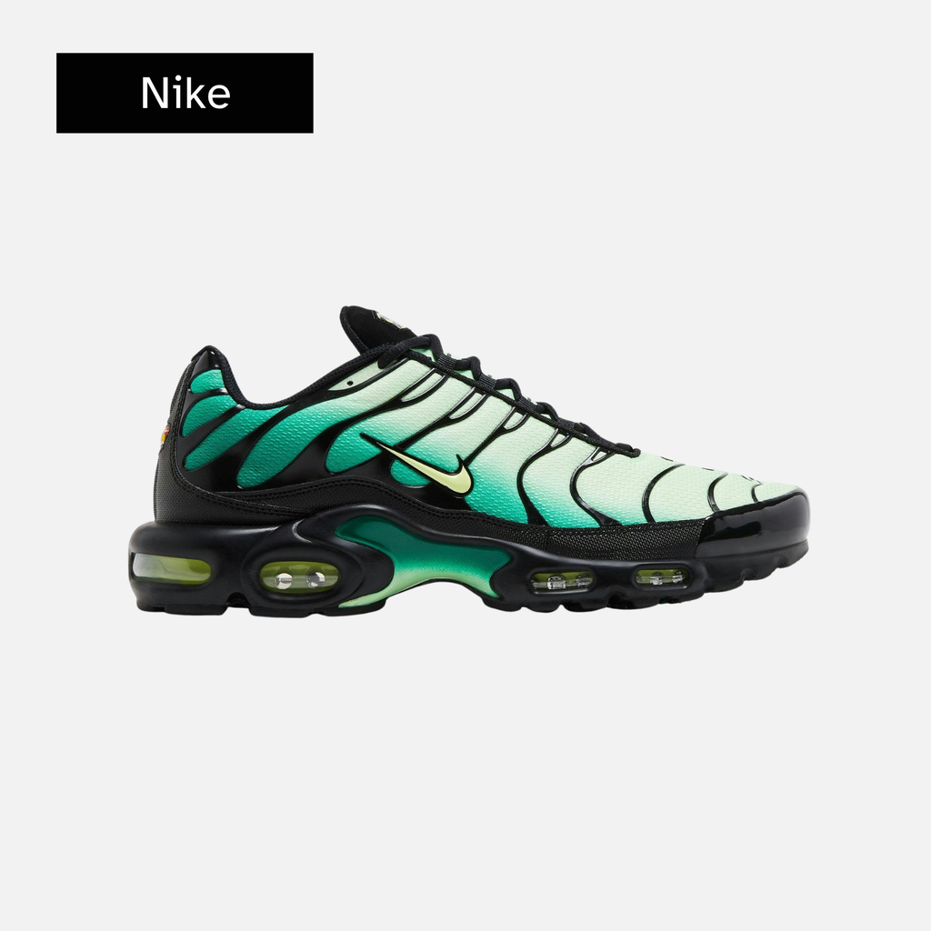 Nike Air Max Plus 'Vapor Green Gradient'