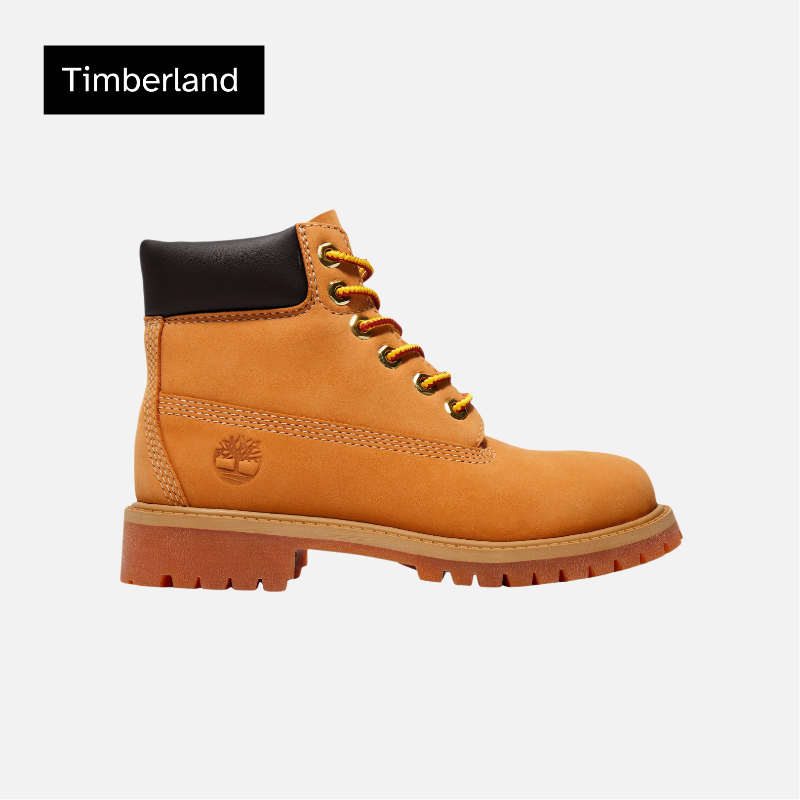 Timberland Waterproof 6" Boots