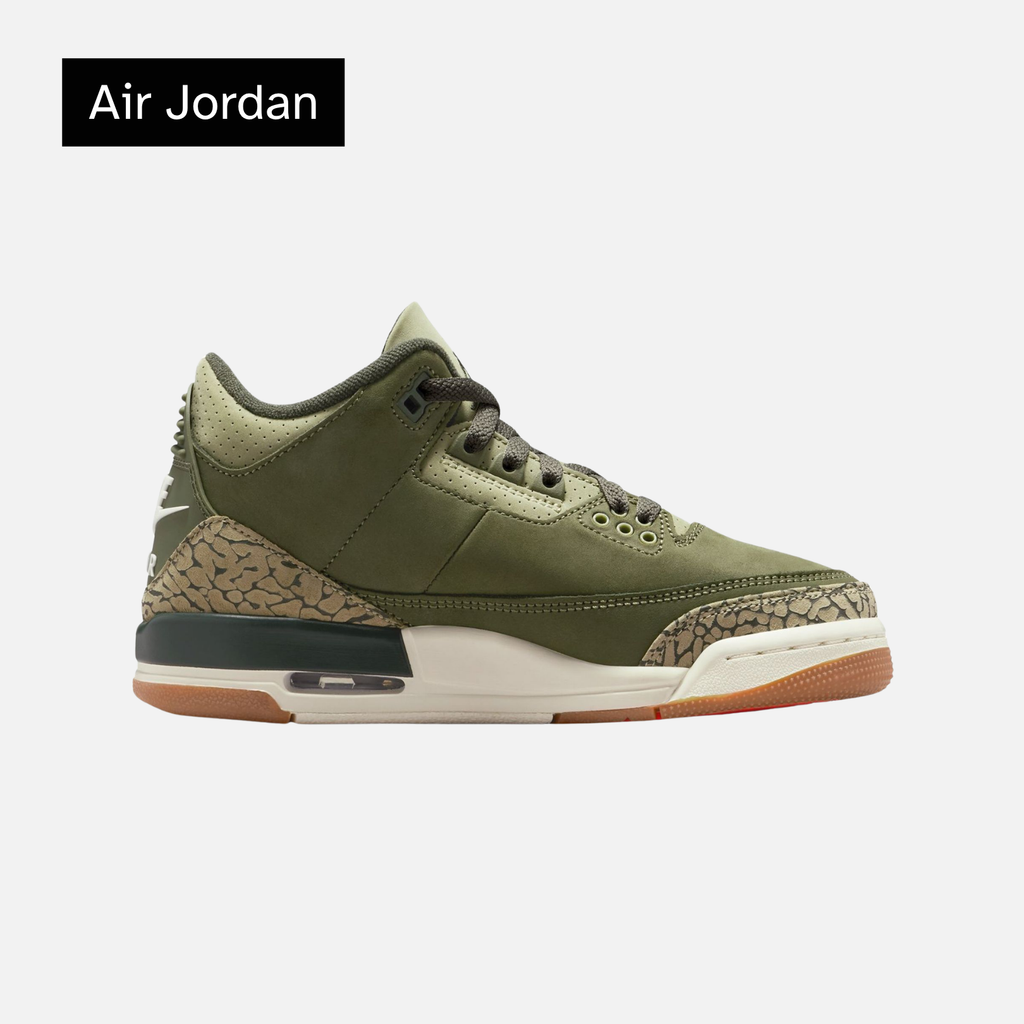 Air Jordan 3 Retro GS 'Family Affair'