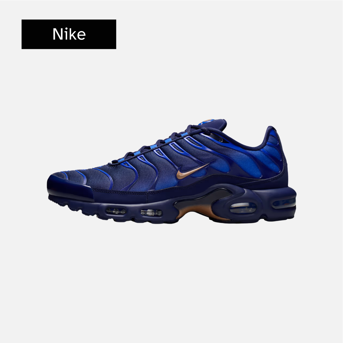 Nike Air Max Plus 'French Football Federation'