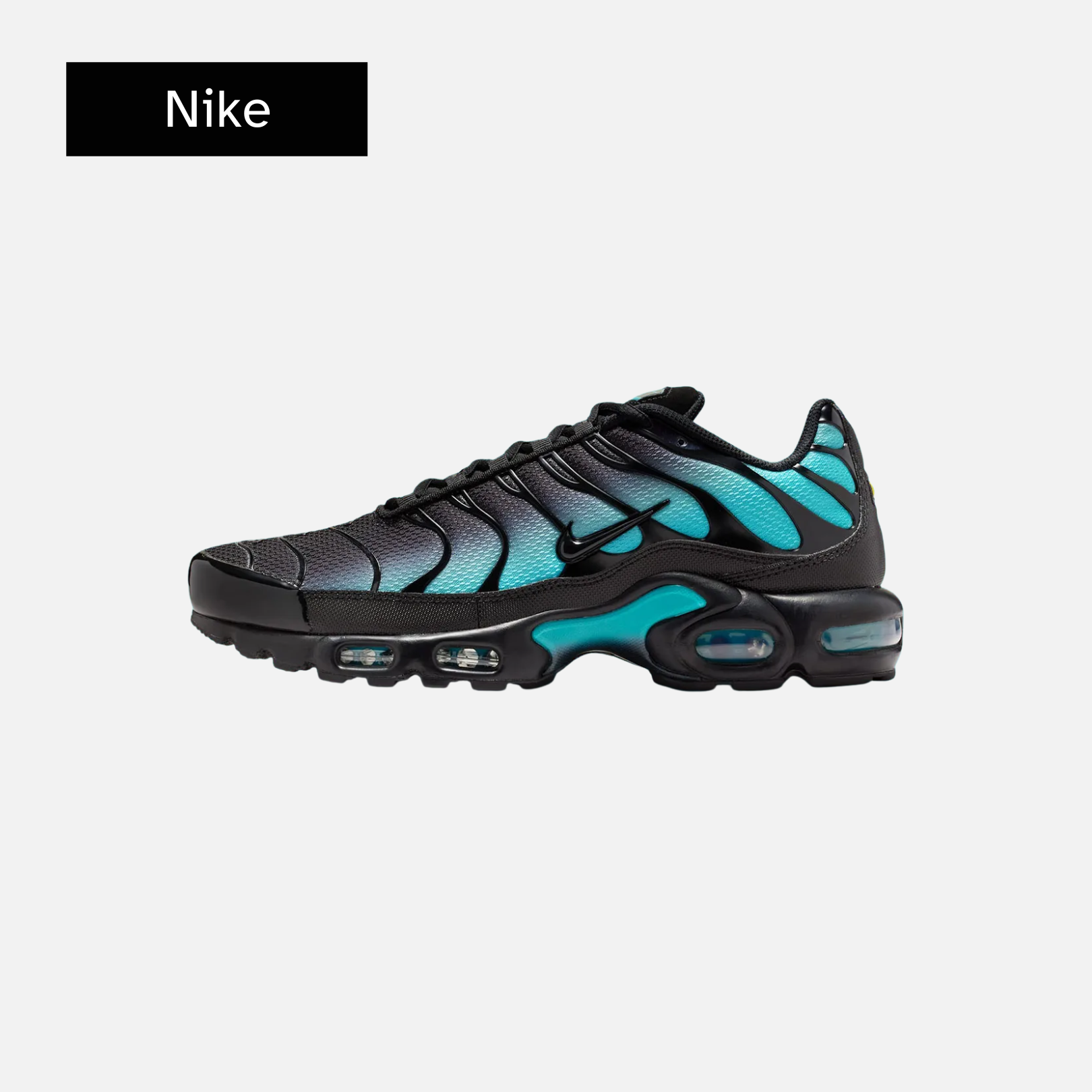Nike Air Max Plus 'Black Dusty Cactus'