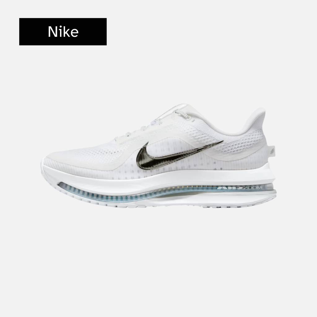 Nike Pegasus Premium 'White Metallic Silver'