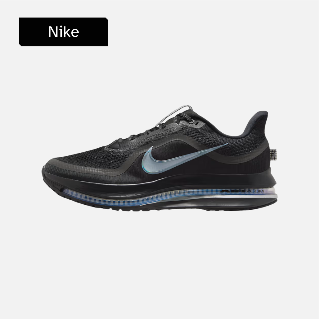 Nike Pegasus Premium 'Black Metallic Silver'