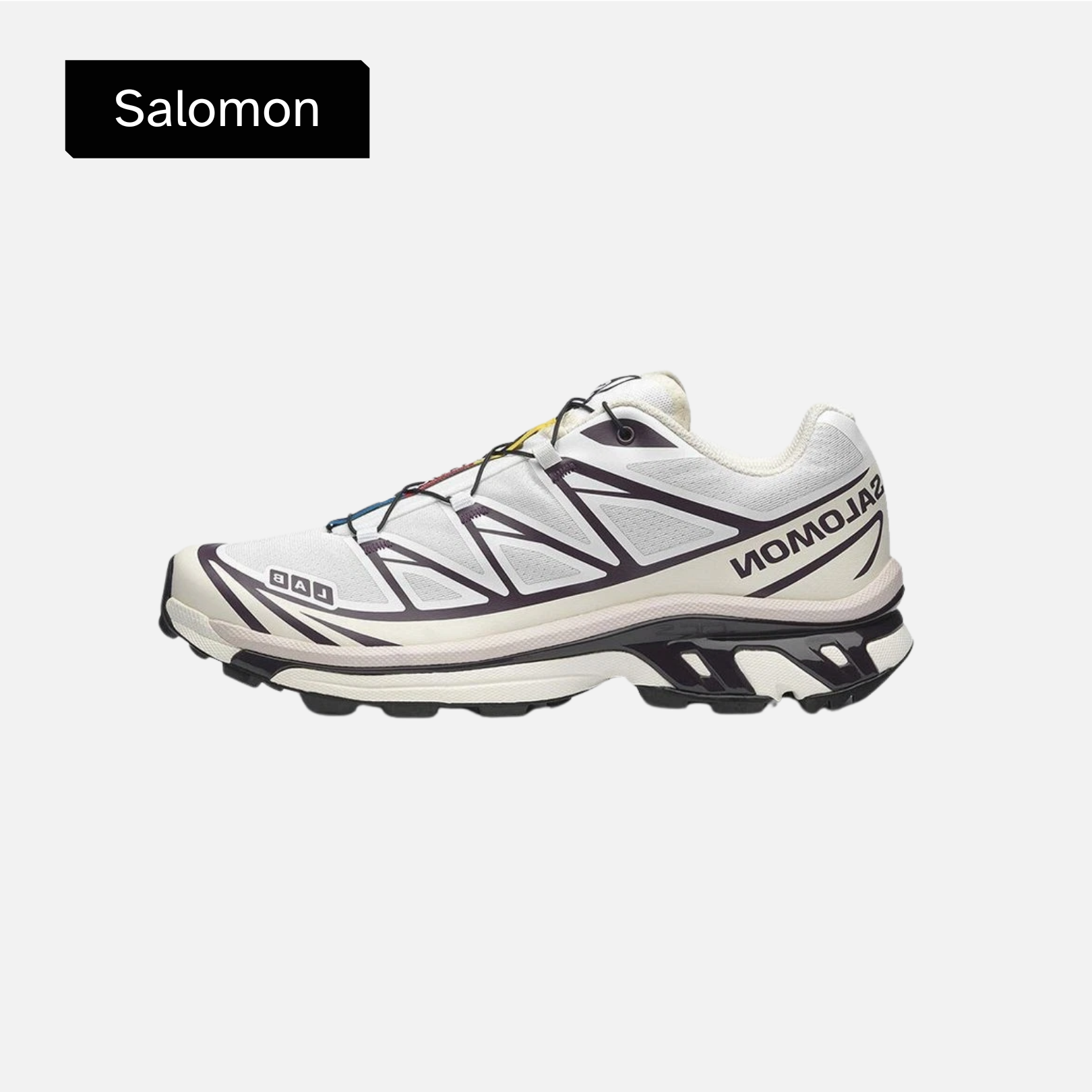 Salomon XT-6 'White Plum Perfect'