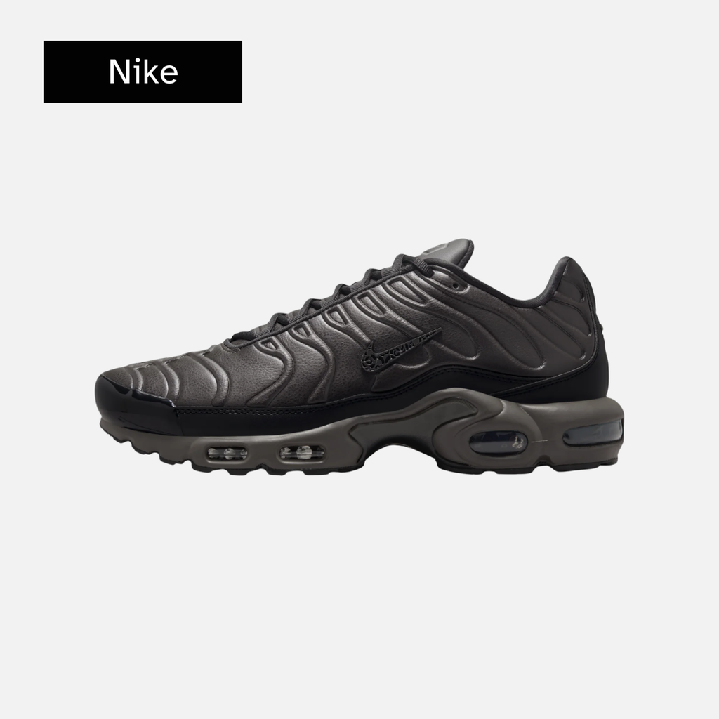 Nike Air Max Plus Premium 'Paris'