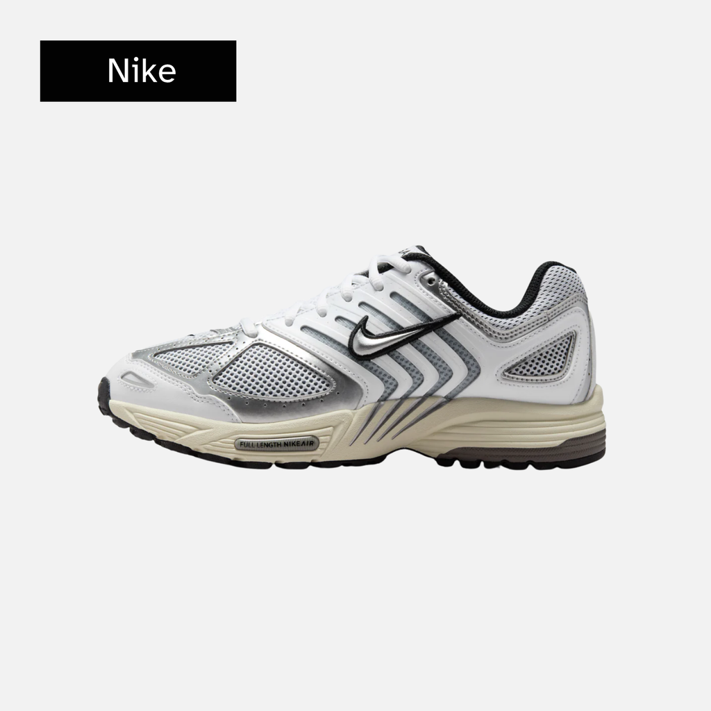 Nike Wmns Air Pegasus 2K5 'White Black Metallic Silver'