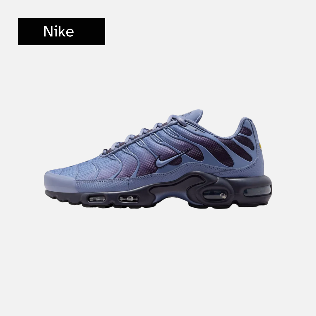 Nike Air Max Plus 'World Indigo'