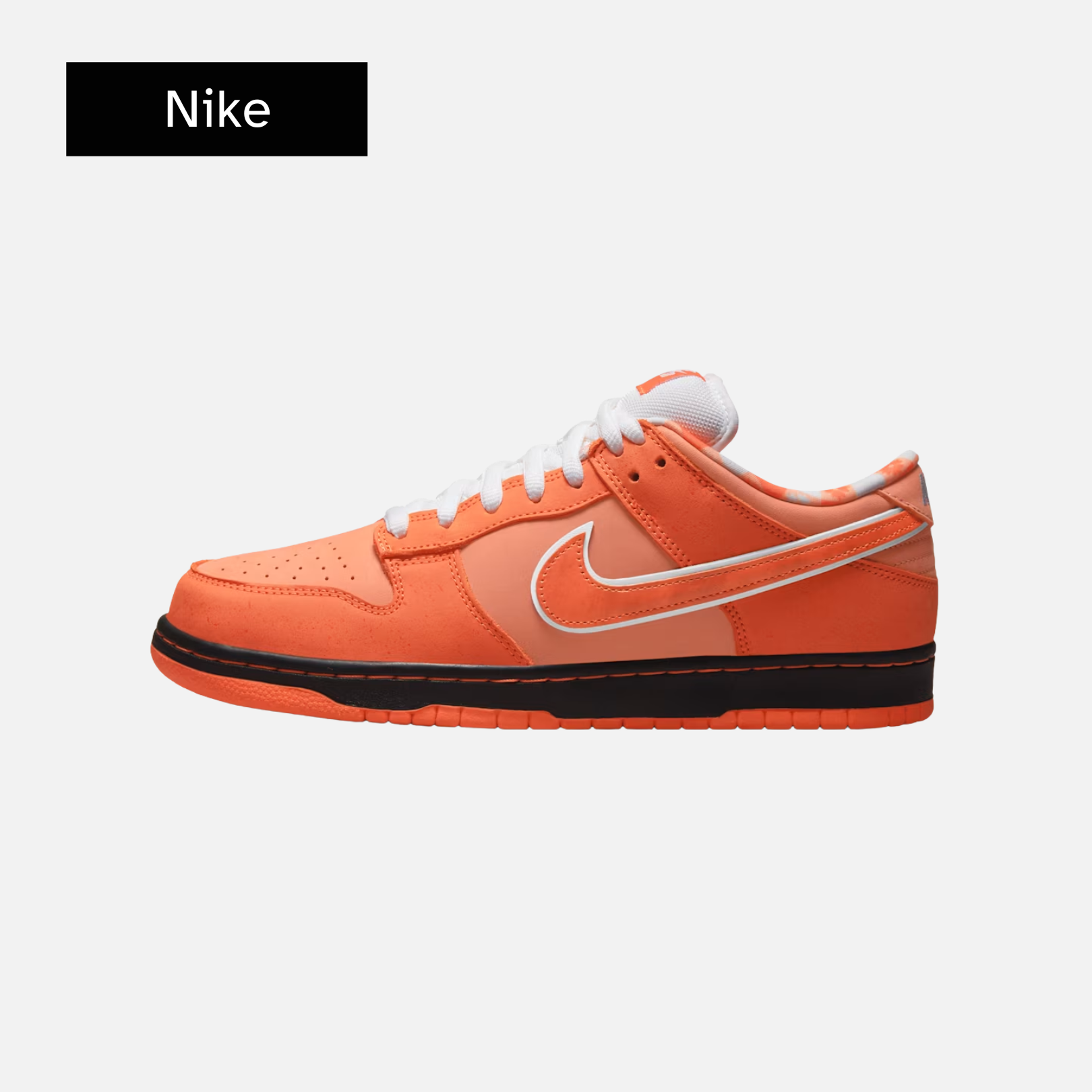 Concepts x Nike Dunk Low SB 'Orange Lobster'