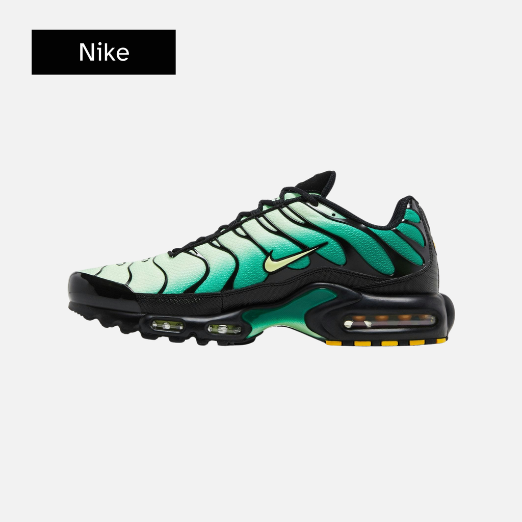 Nike Air Max Plus 'Vapor Green Gradient'