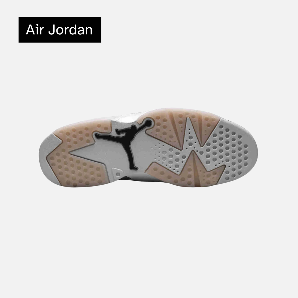 Paris Saint-Germain x Air Jordan 6 Retro 'Silver'