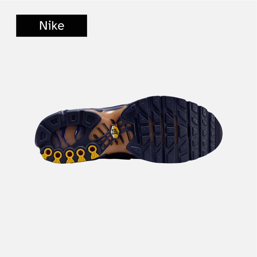 Nike Air Max Plus 'French Football Federation'