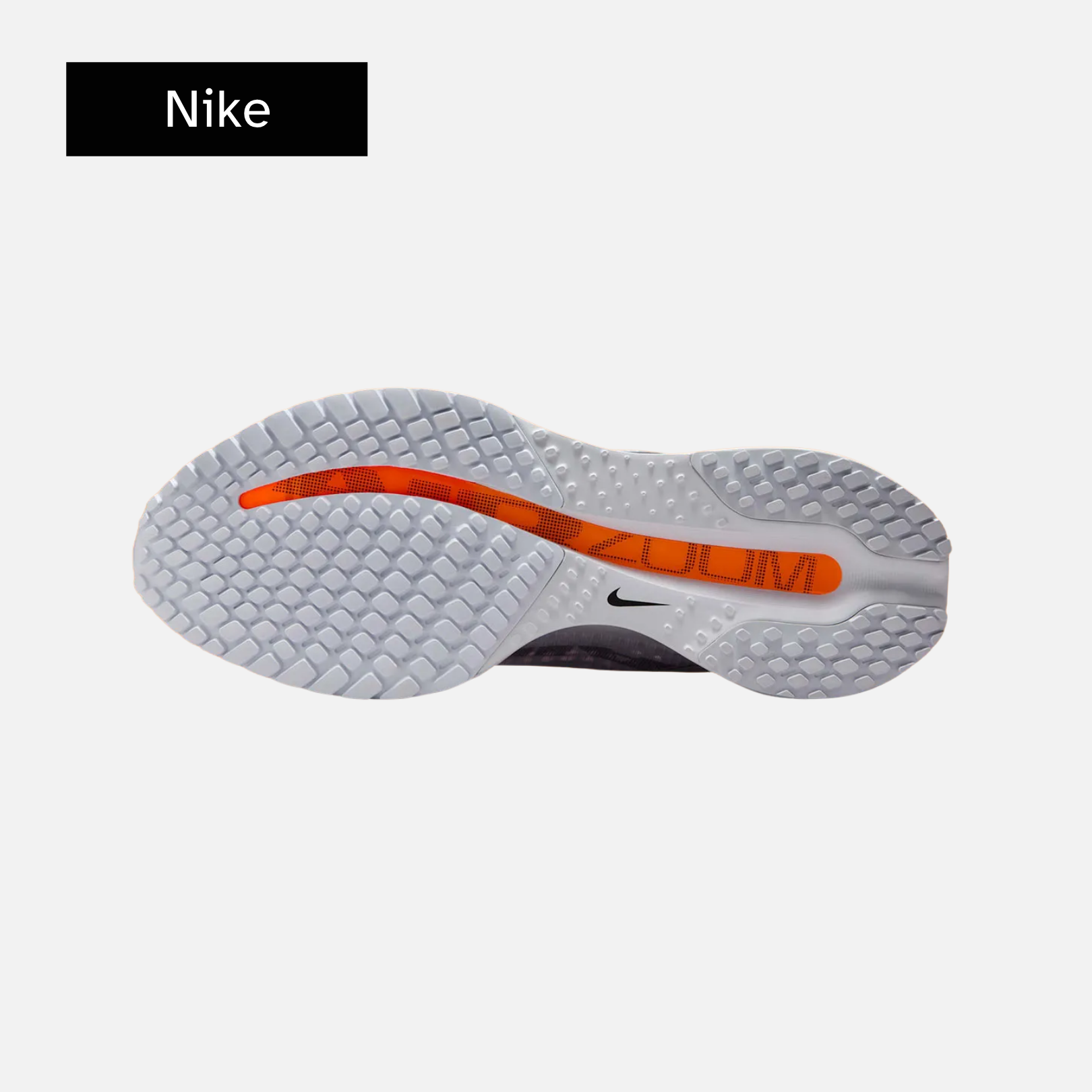 Nike Wmns Pegasus Premium 'Airscape'