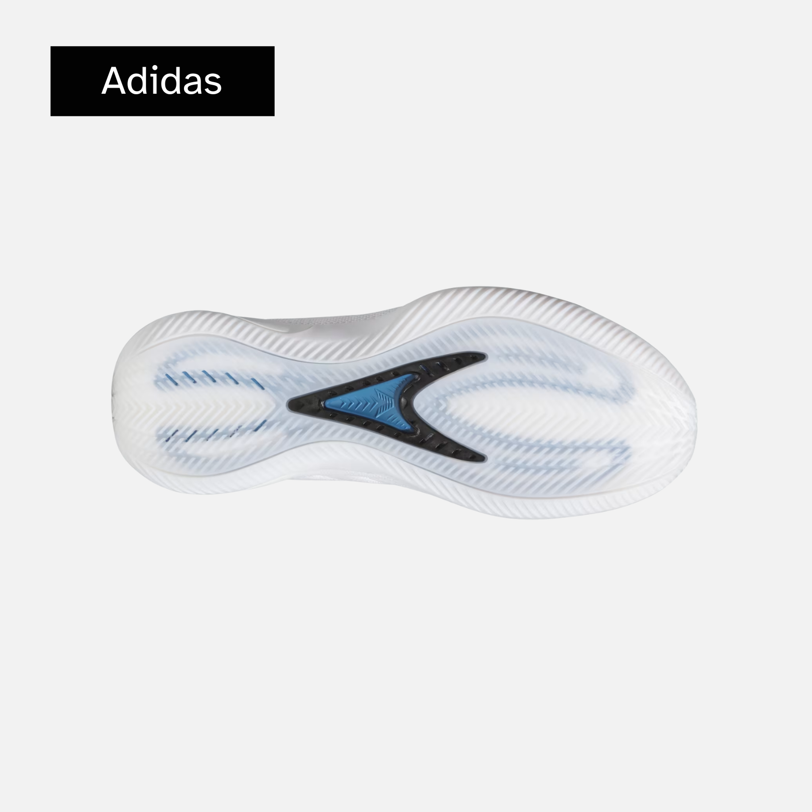 adidas AE 2 'Alphadog'