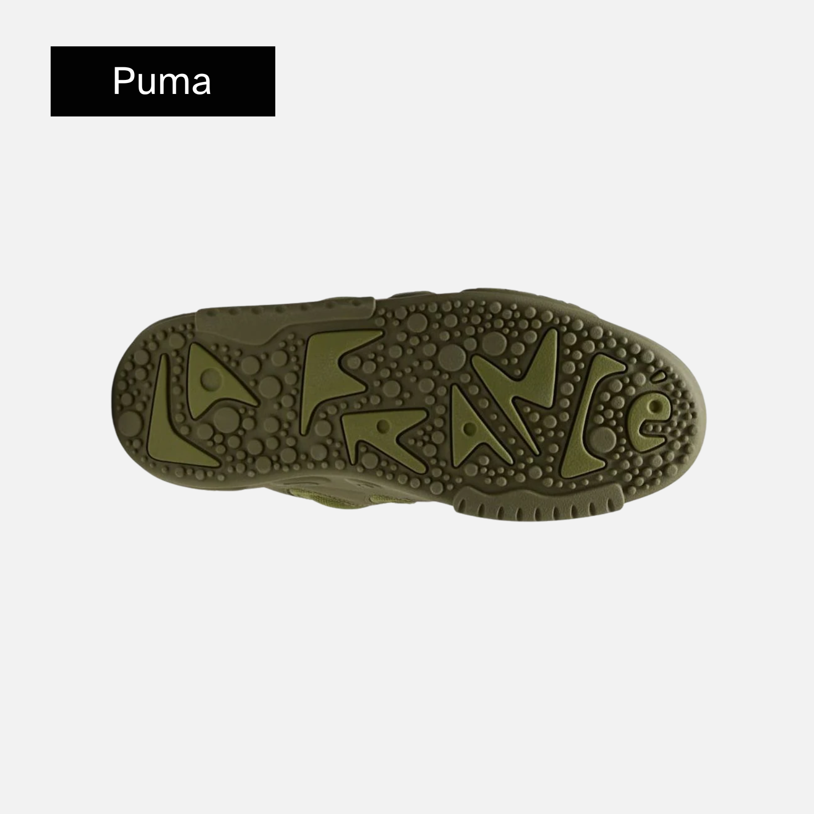 Puma LaFrancé 'Oak Tree'