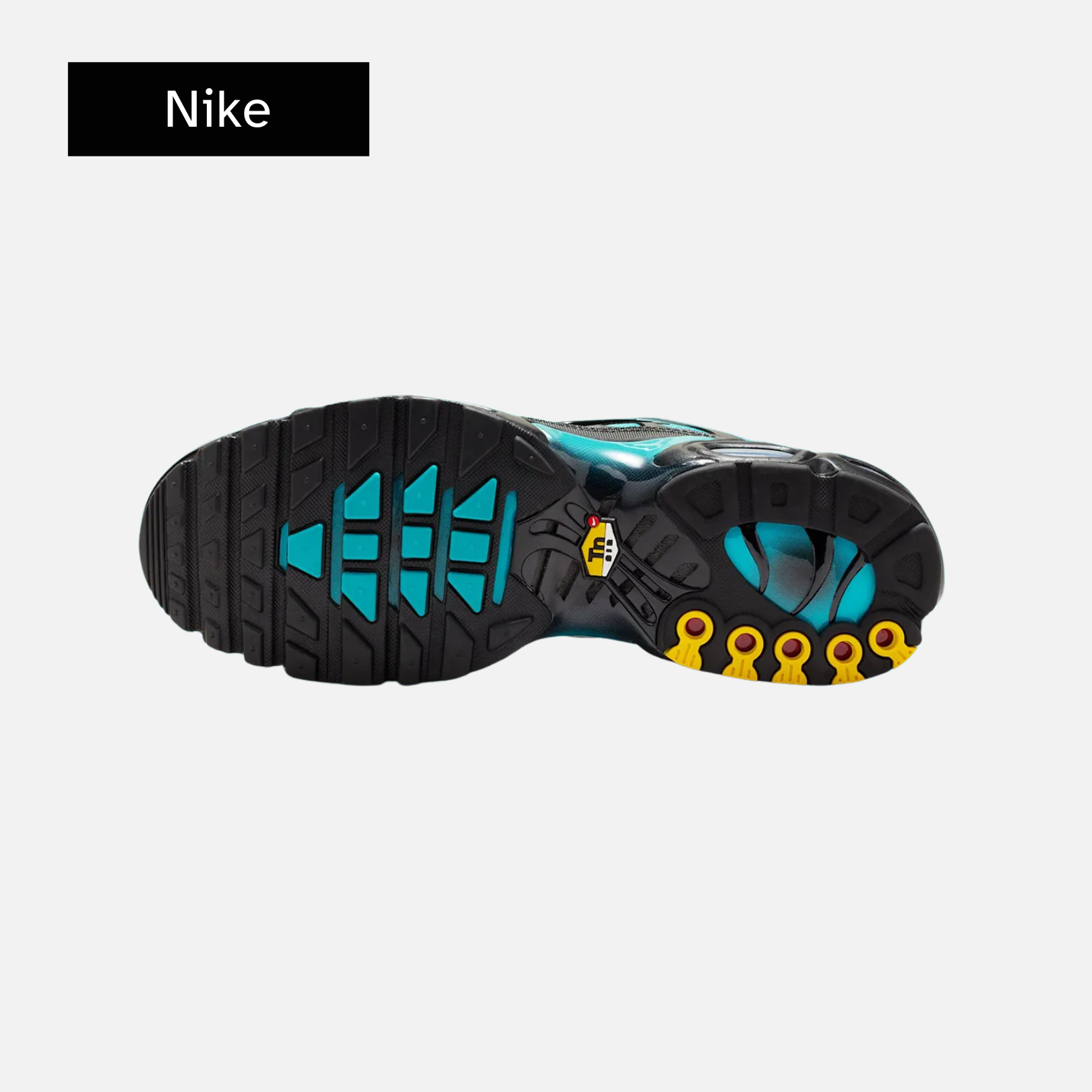 Nike Air Max Plus 'Black Dusty Cactus'