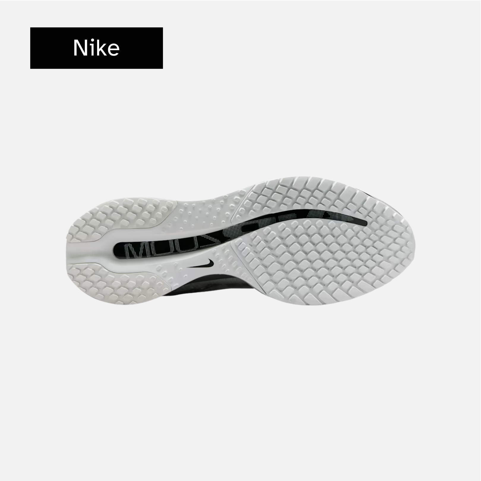 Nike Pegasus Premium 'Photon Dust'