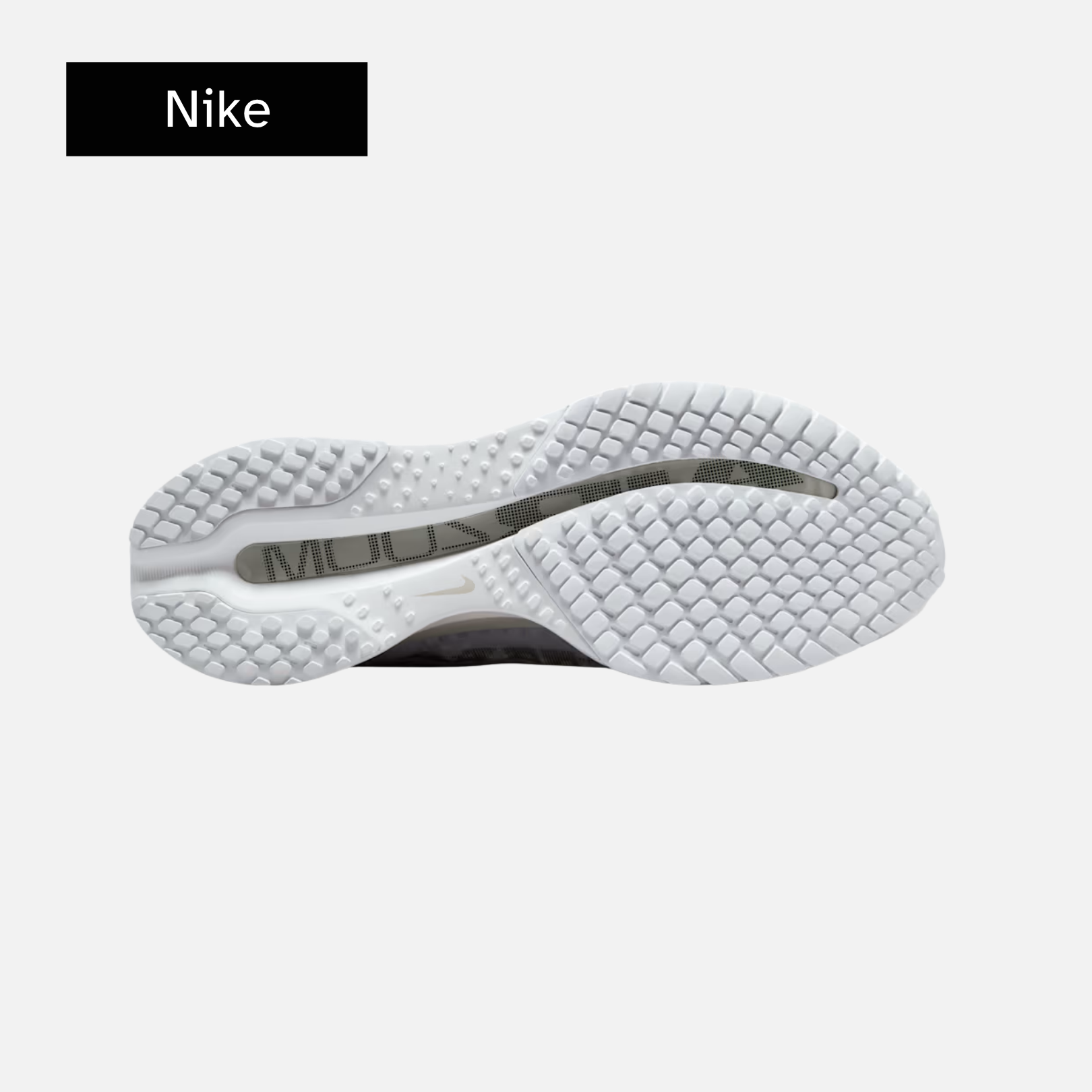 Nike Pegasus Premium 'White Metallic Silver'