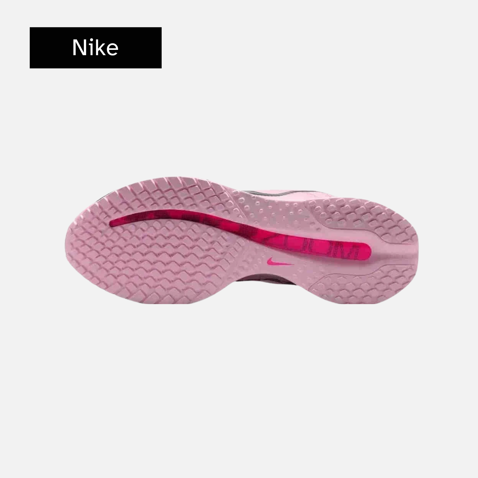 Nike Pegasus Premium 'Pink Foam'