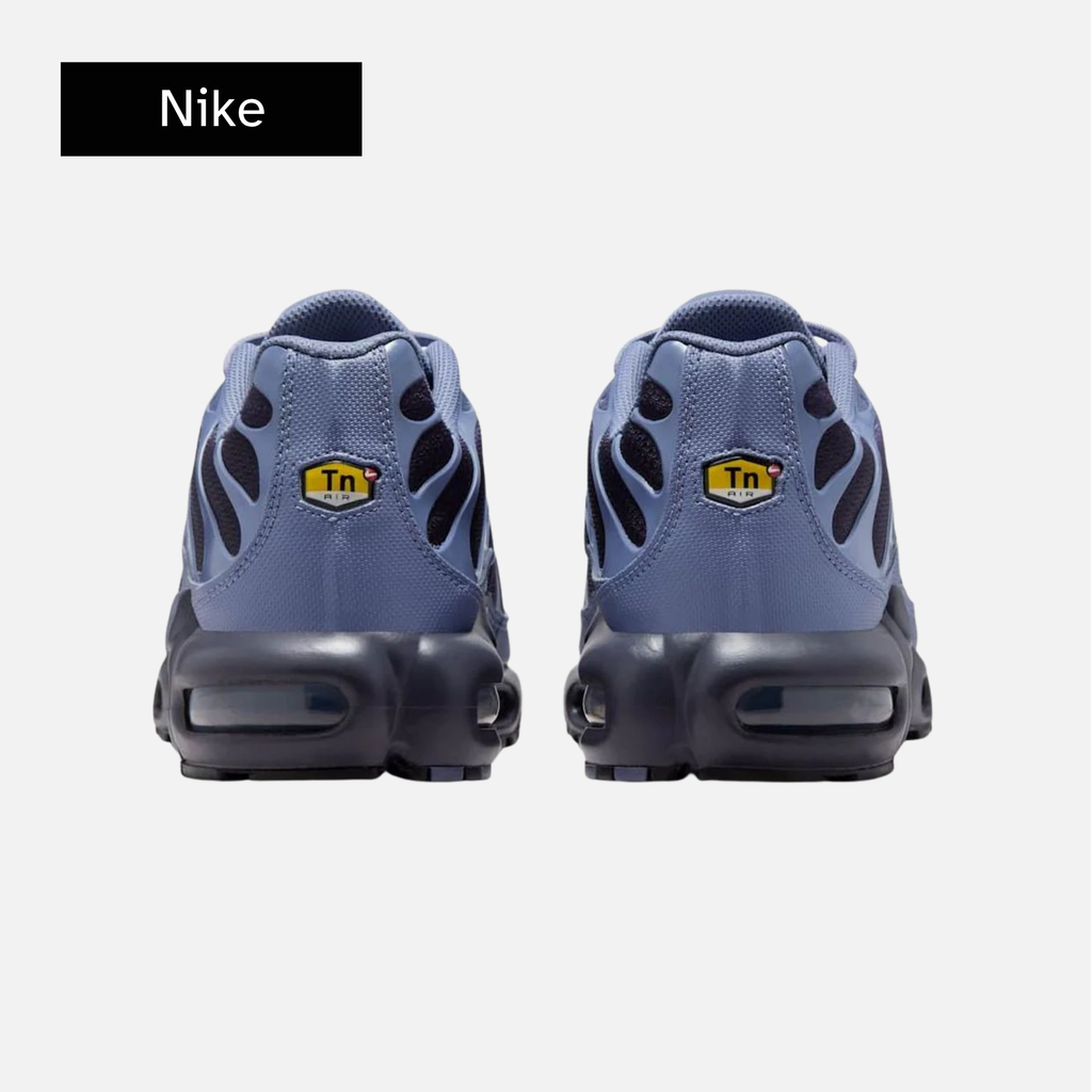 Nike Air Max Plus 'World Indigo'