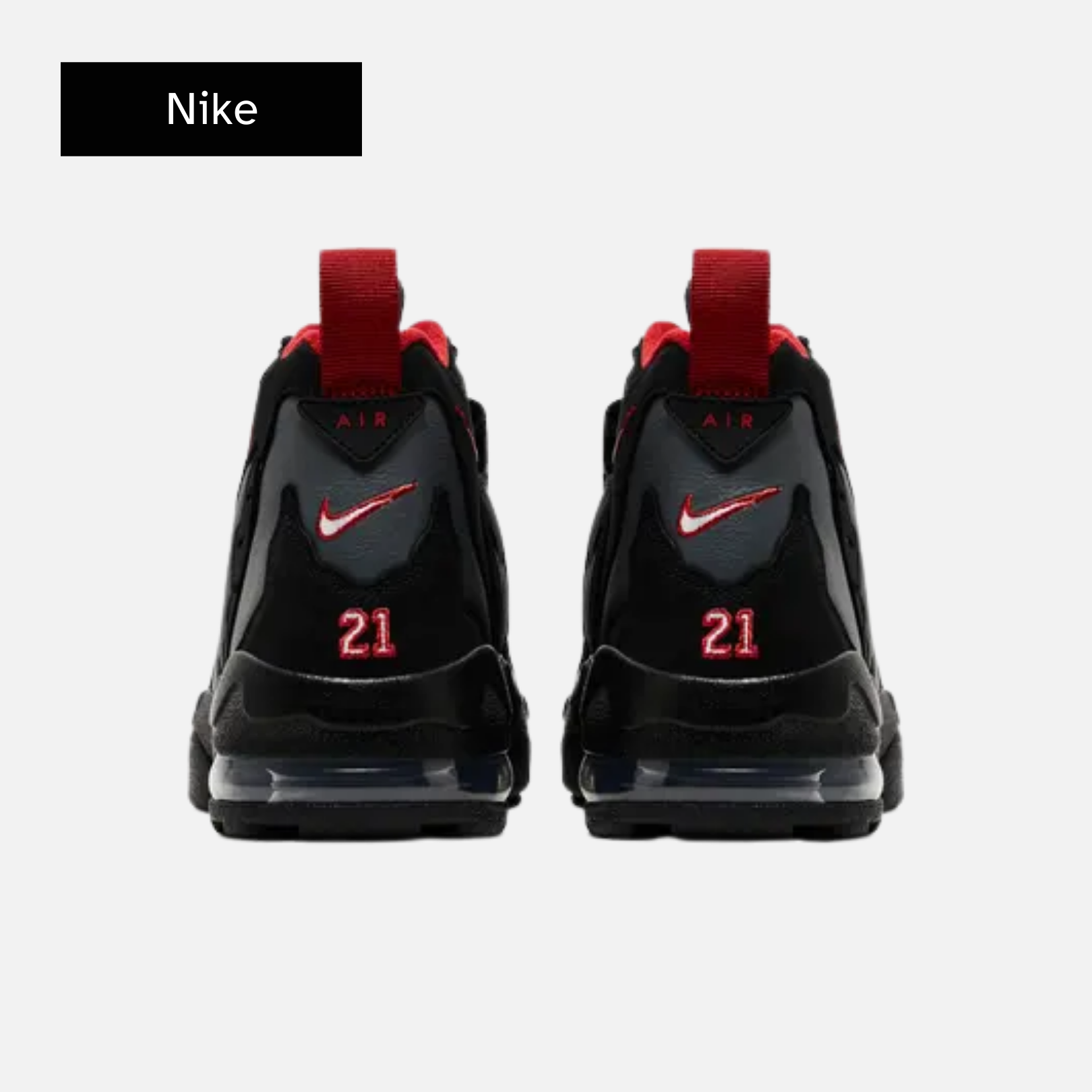 Nike Air DT Max '96 'Falcons'