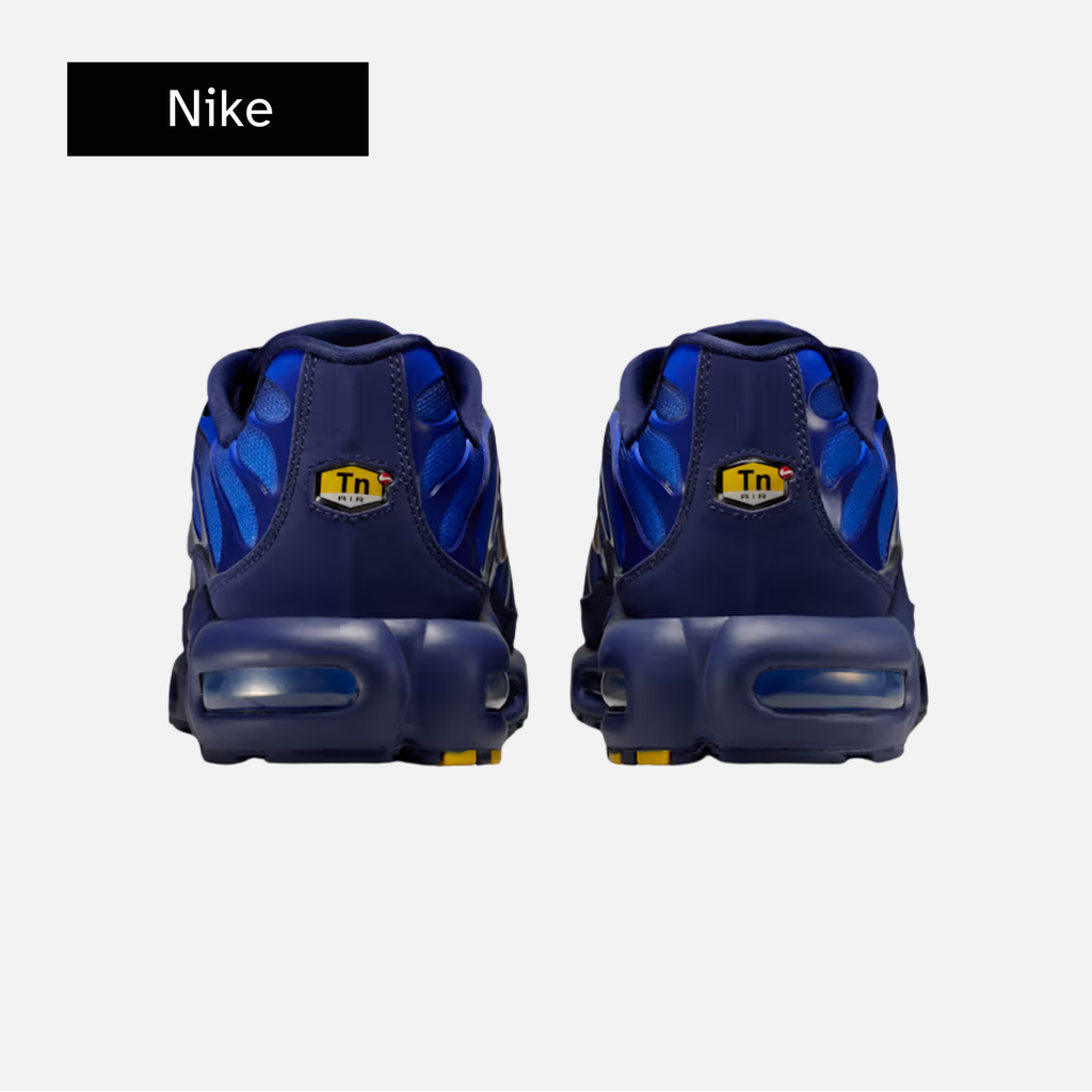 Nike Air Max Plus 'French Football Federation'