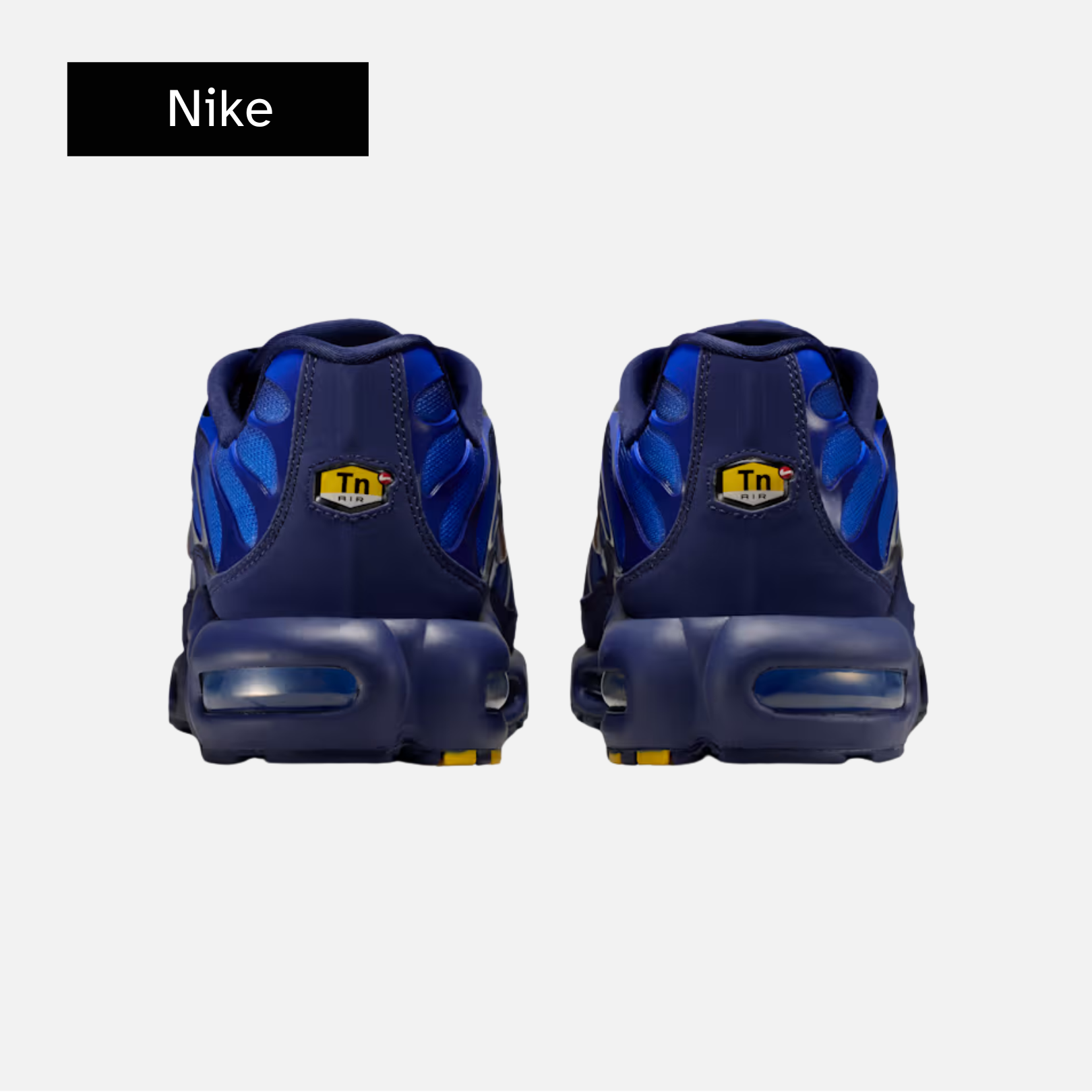 Nike Air Max Plus 'French Football Federation'
