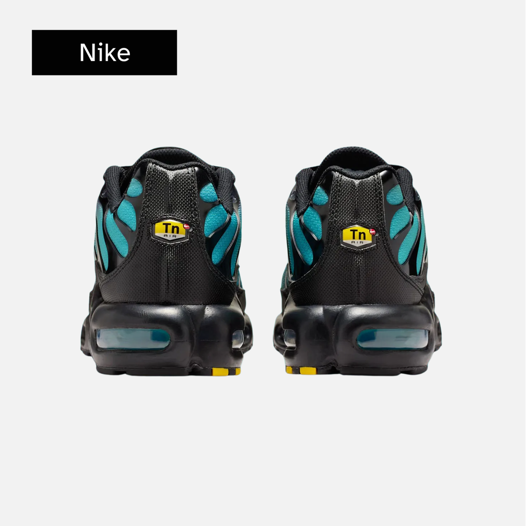 Nike Air Max Plus 'Black Dusty Cactus'