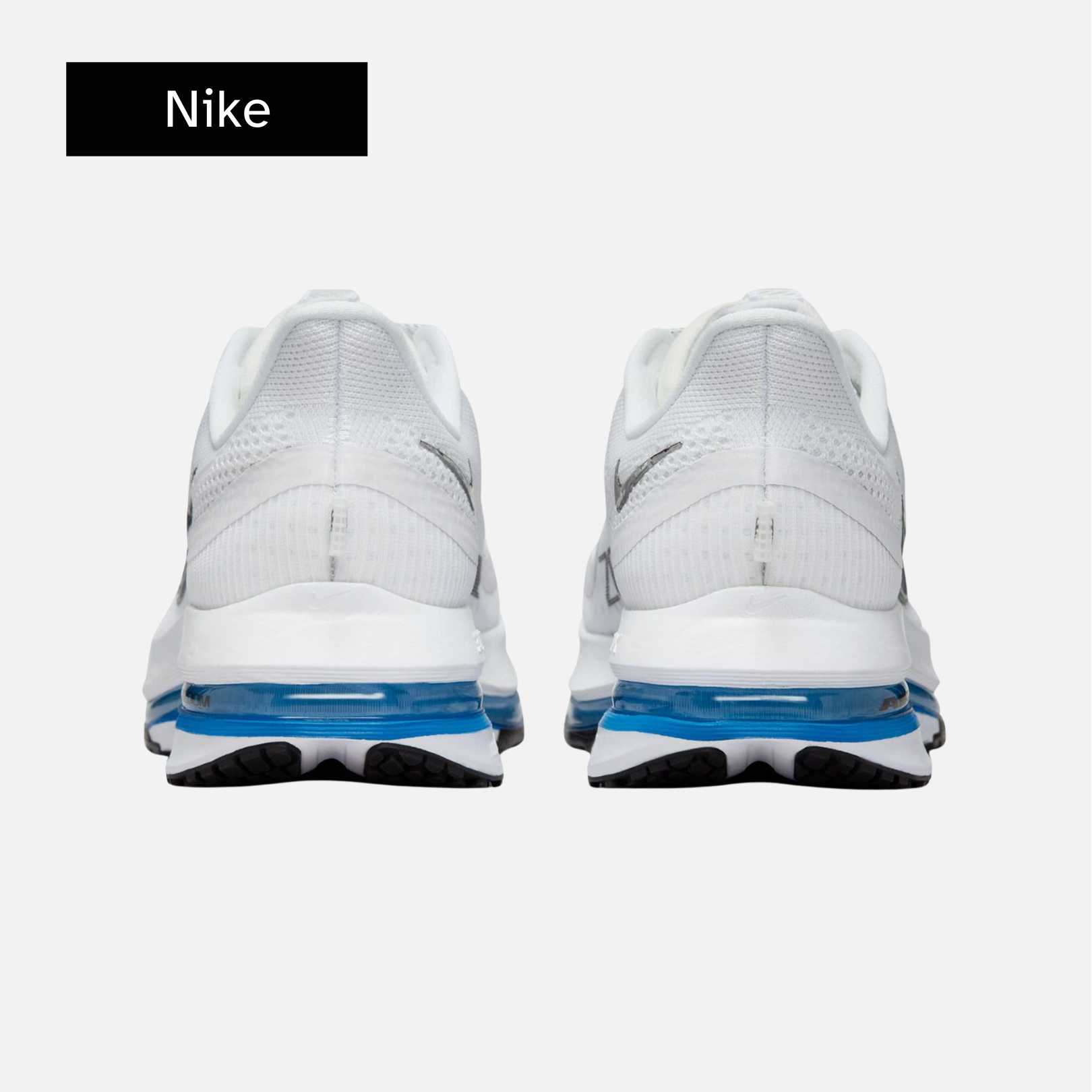Nike Pegasus Premium 'White Photo Blue'