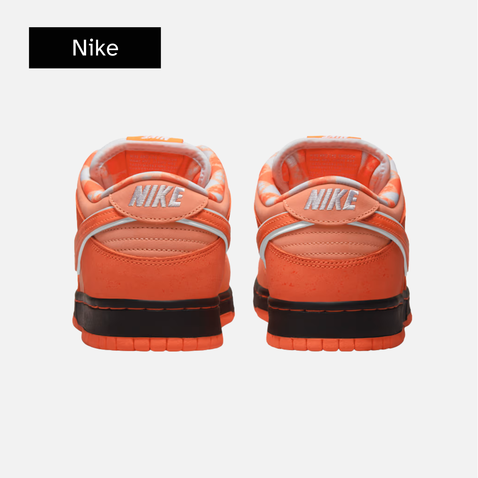 Concepts x Nike Dunk Low SB 'Orange Lobster'