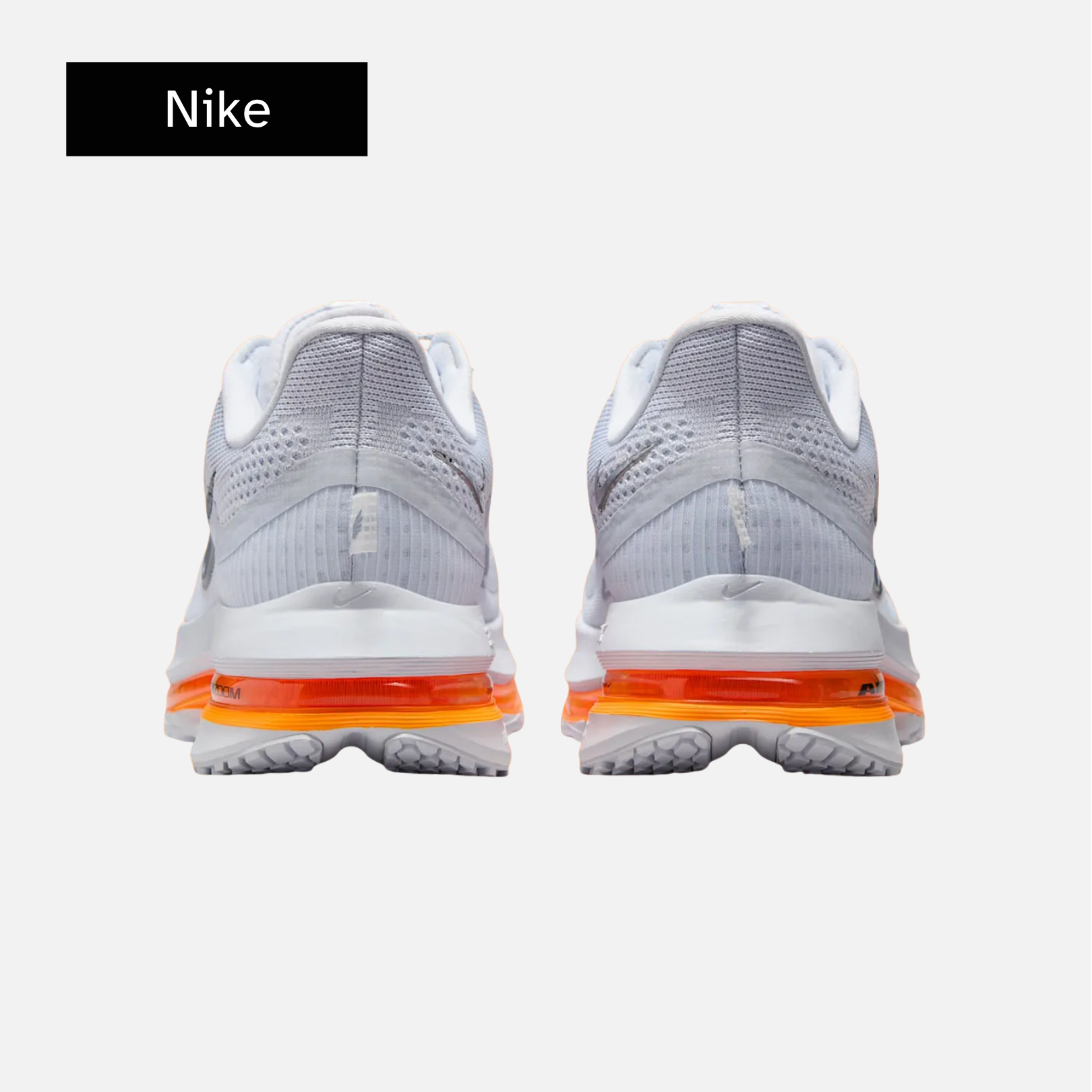 Nike Wmns Pegasus Premium 'Airscape'
