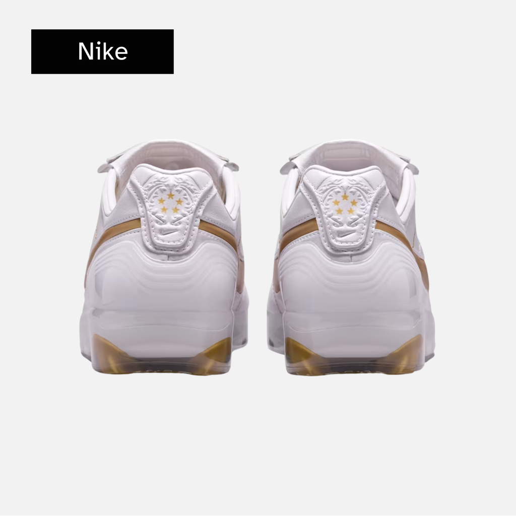 Nike Cryoshot Tiempo Legend R10 'White Metallic Gold'