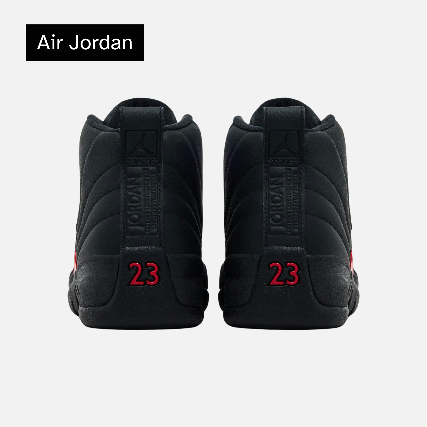 Air Jordan 12 Retro 'Bloodline'