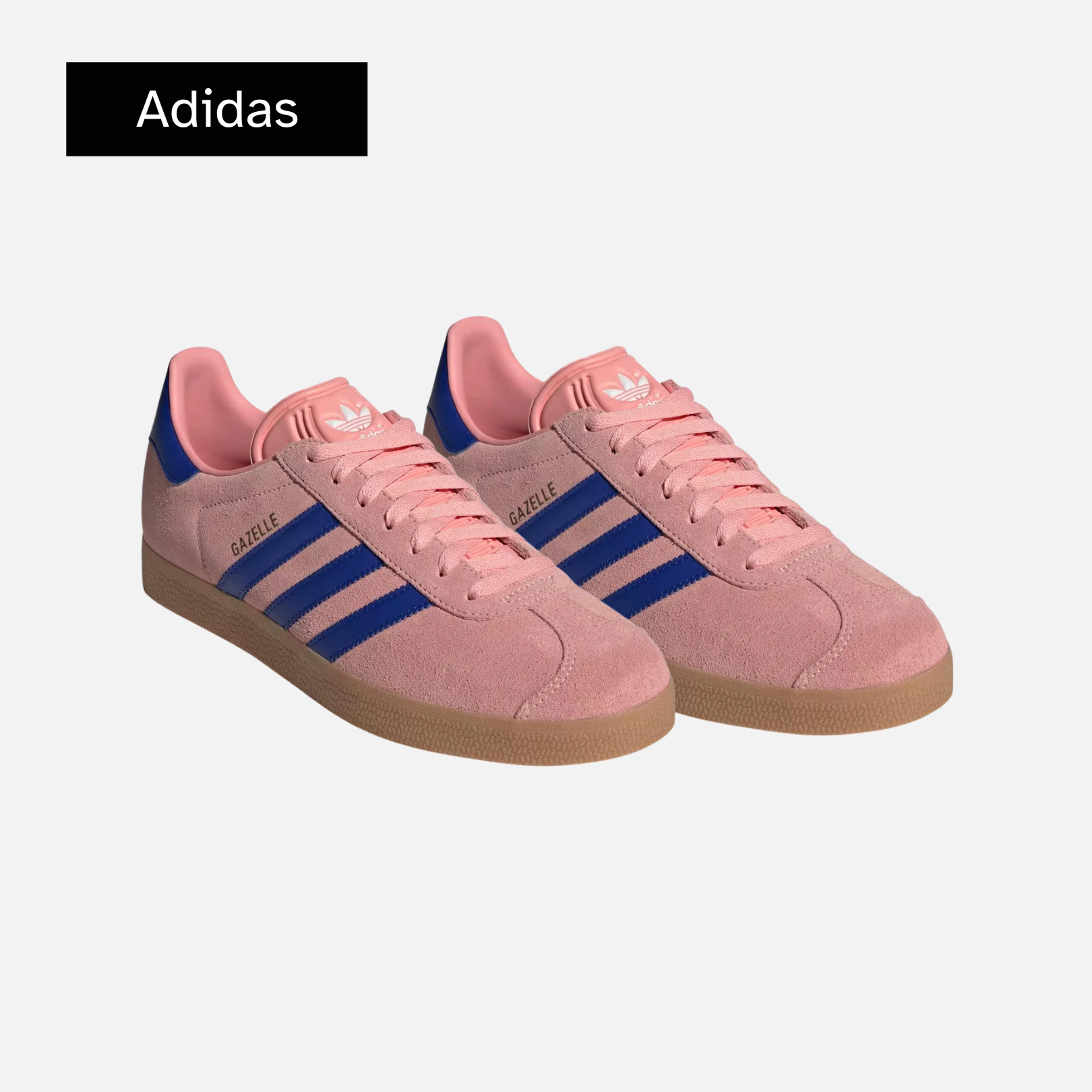 Gazelle J 'Semi Pink Spark Lucid Blue'