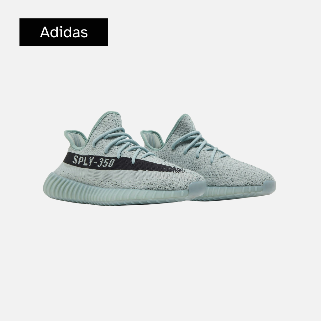 adidas Yeezy Boost 350 V2 'Salt'