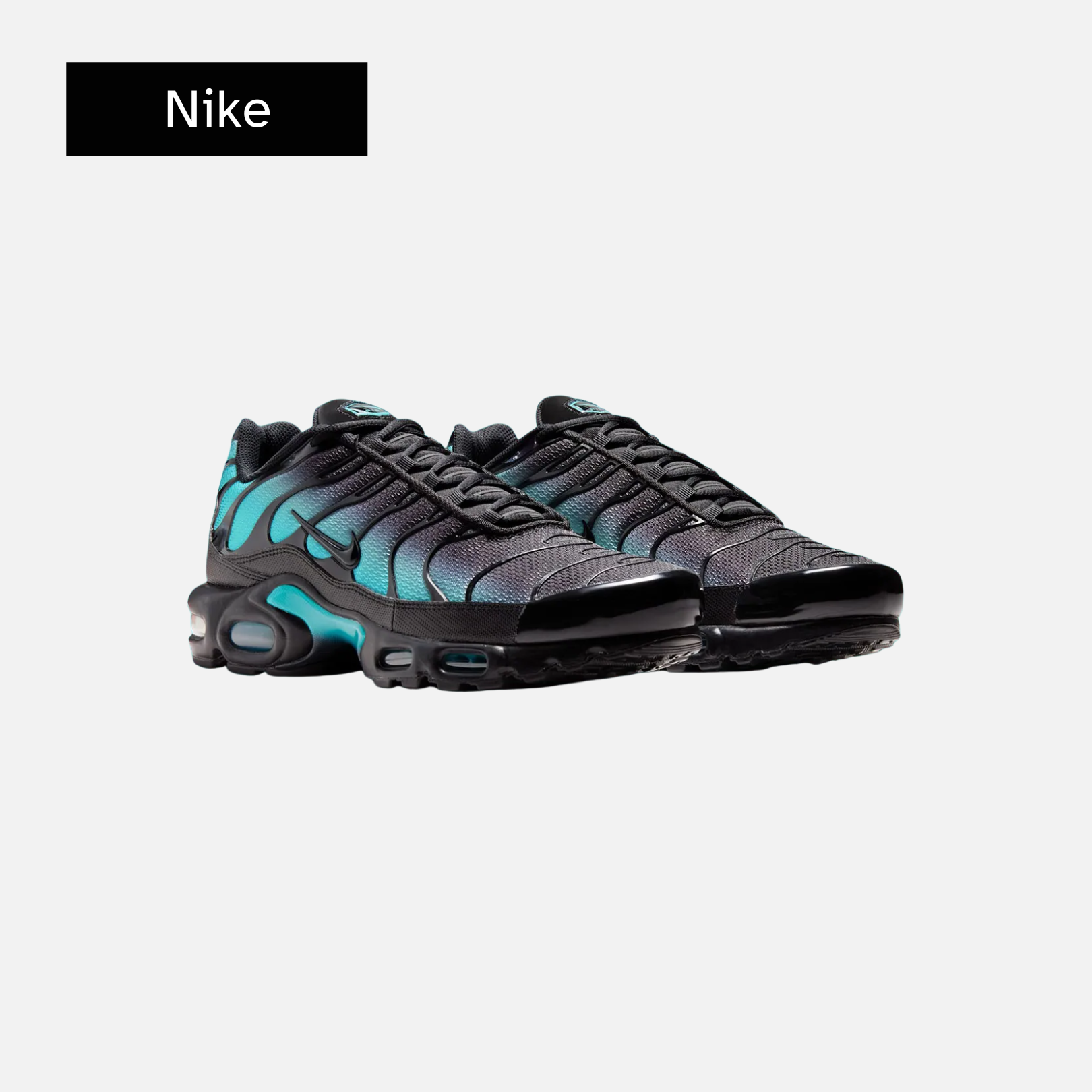 Nike Air Max Plus 'Black Dusty Cactus'