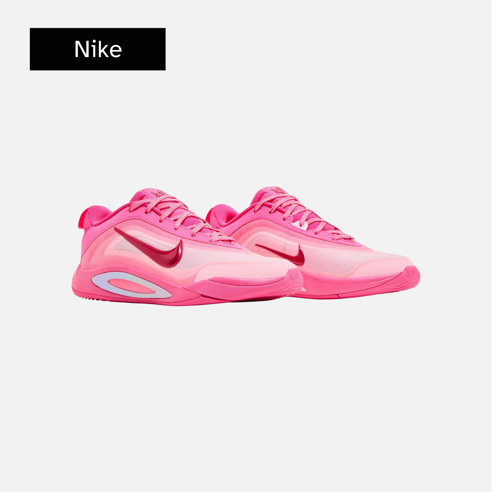 A'One GS 'Pink A'ura'
