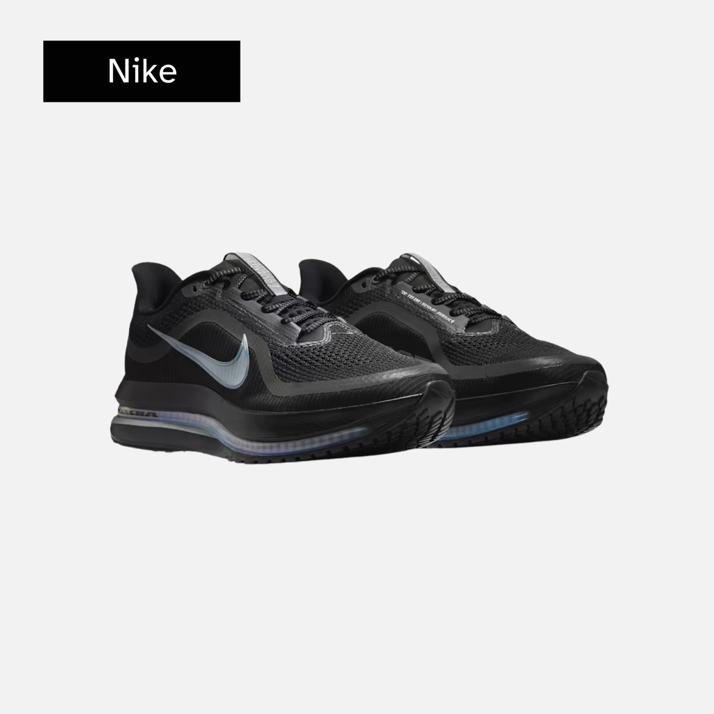 Nike Pegasus Premium 'Black Metallic Silver'