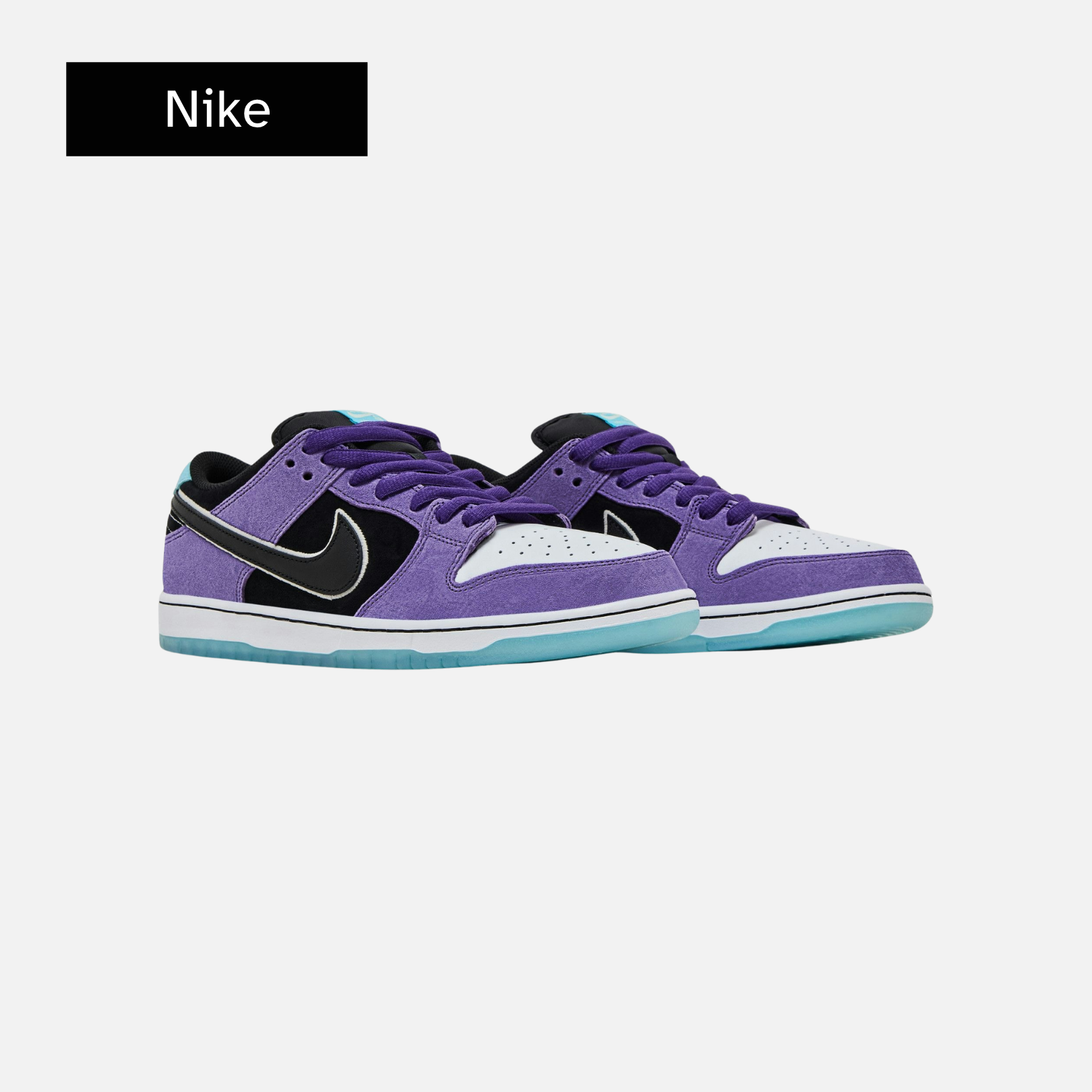 Hayley Wilson x Nike Dunk Low SB 'Court Purple'