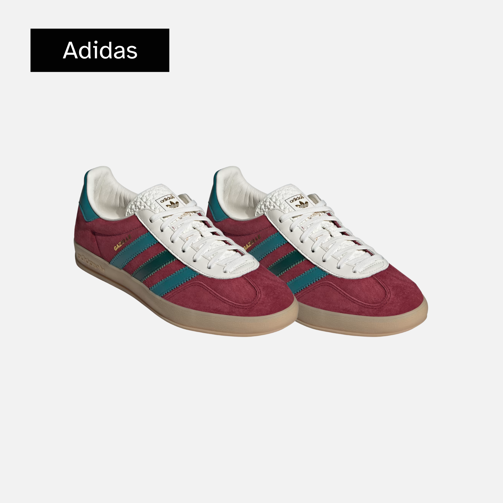 Gazelle 'Collegiate Burgundy Green'