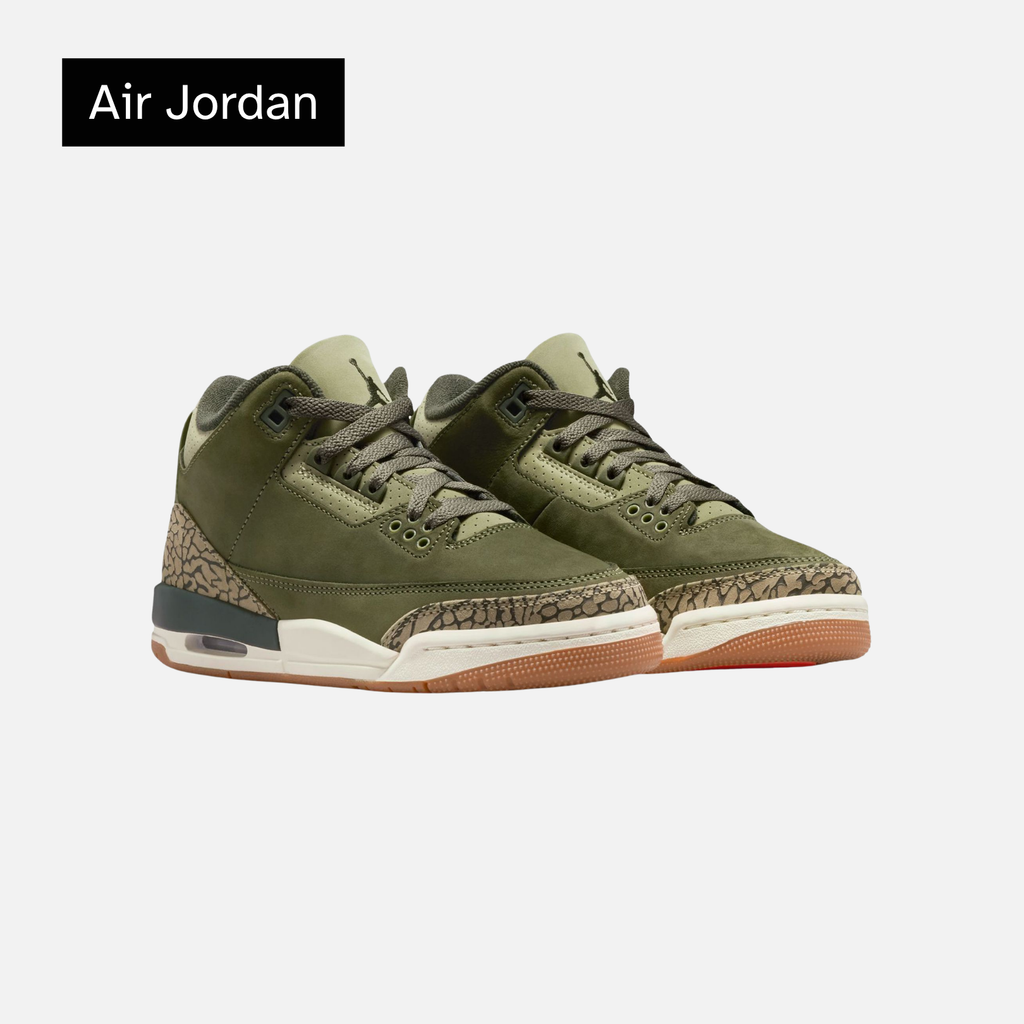 Air Jordan 3 Retro GS 'Family Affair'