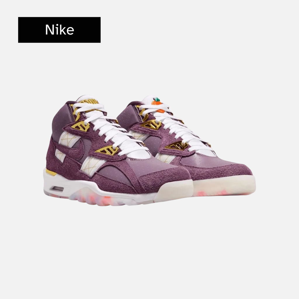 Nike Air Trainer SC 'Atlanta Olympics 30th Anniversary'