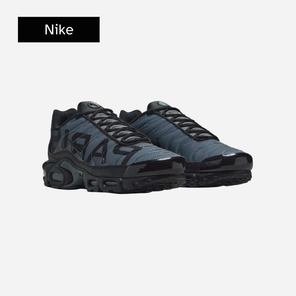 Paris Saint-Germain x Nike Air Max Plus 'Black Particle Grey'