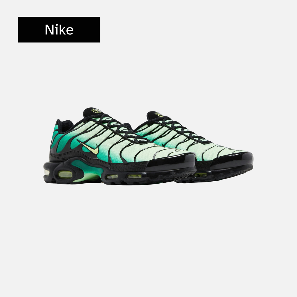 Nike Air Max Plus 'Vapor Green Gradient'