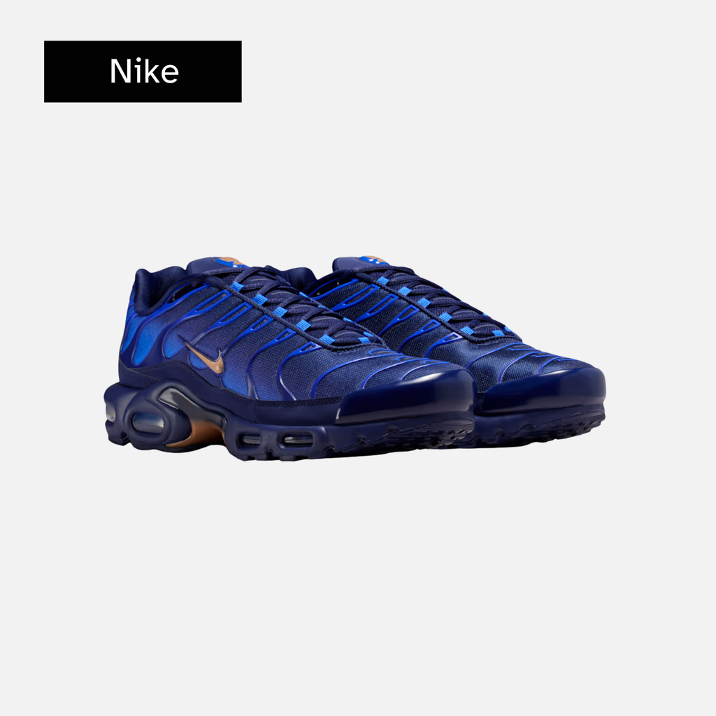 Nike Air Max Plus 'French Football Federation'