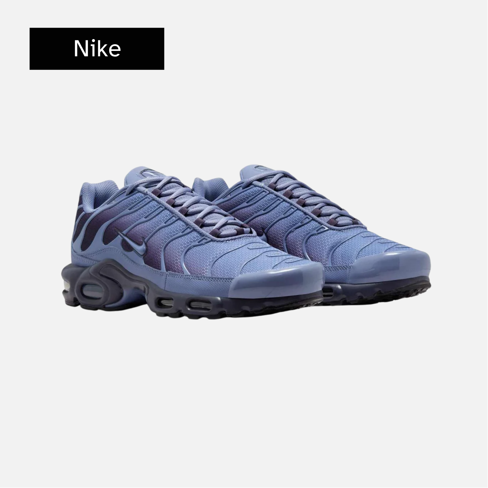Nike Air Max Plus 'World Indigo'