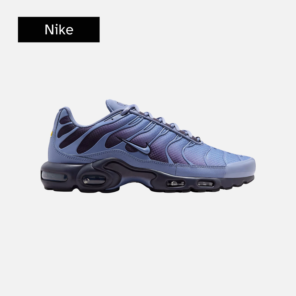 Nike Air Max Plus 'World Indigo'