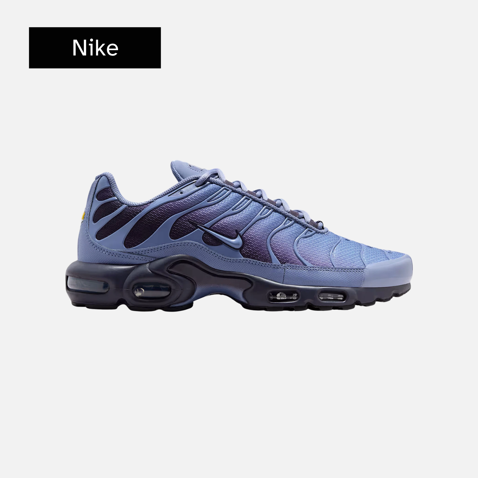 Nike Air Max Plus 'World Indigo'